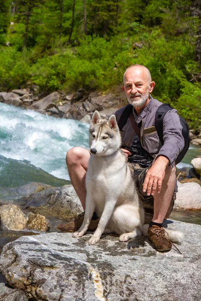 Anciano Perros Trineo Caminan Cerca Del Lago Paisaje Alpino Pensionista —  Fotos de Stock