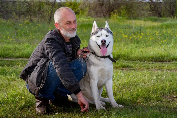 Hombre Perro Husky Pasean Por Parque Mantiene Perro Con Correa —  Fotos de Stock