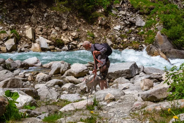 Egy Öregember Szánkóbogarak Sétálnak Mellett Alpesi Táj Aktív Szabadidős Nyugdíjas — Stock Fotó