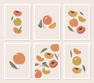 Yapraklı meyve ikonlarıyla süslenmiş şeftali desenli posterler. Minimalist tarzda soyut bitki bileşimi. Dekorasyon gıda çizimleri.