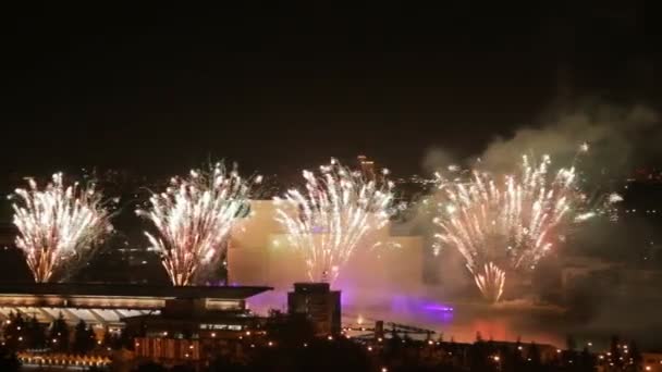 Een vuurwerk in een nachtelijke hemel — Stockvideo