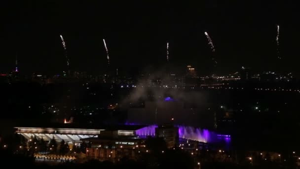 Fuegos artificiales en un cielo nocturno — Vídeos de Stock