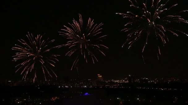 Fuochi d'artificio in un cielo notturno — Video Stock