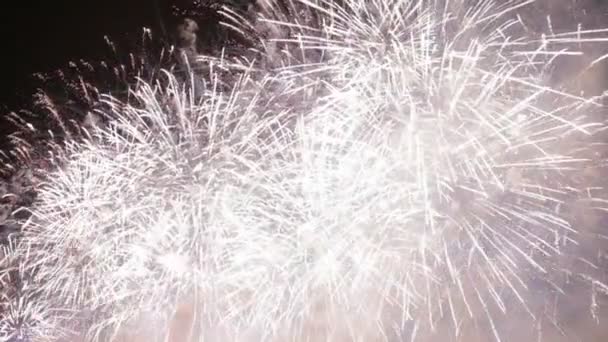 Een geweldige vuurwerk in een nachtelijke hemel — Stockvideo
