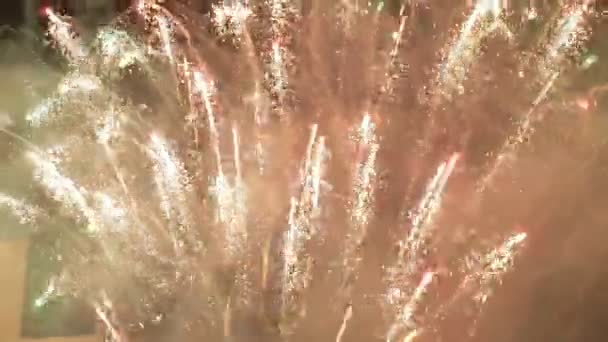 Een geweldige vuurwerk in een nachtelijke hemel — Stockvideo