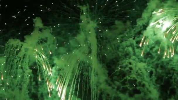 un grand feu d'artifice dans un ciel nocturne 