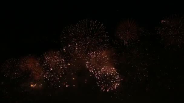 Ein großes Feuerwerk im Nachthimmel — Stockvideo