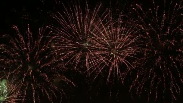 Μια υπέροχη πυροτεχνήματα σε ένα νυχτερινό ουρανό — Αρχείο Βίντεο