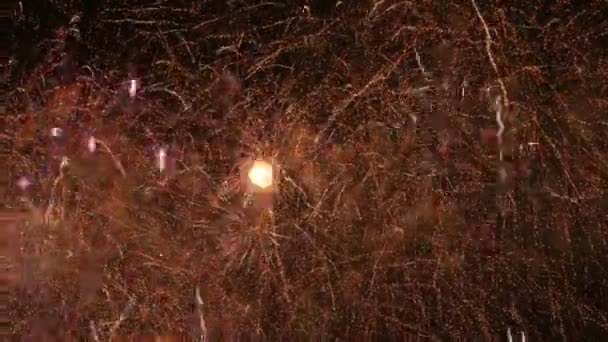 Un grand feu d'artifice dans un ciel nocturne — Video