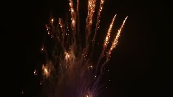 Un grande fuoco d'artificio in un cielo notturno — Video Stock