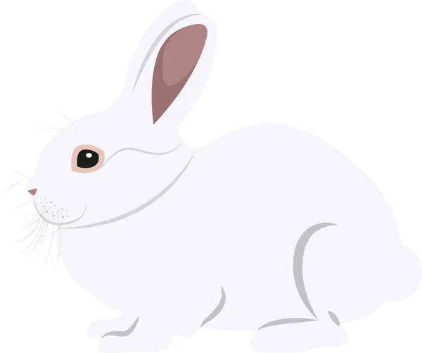白い背景に隔離されたかわいい漫画のウサギ — ストックベクタ