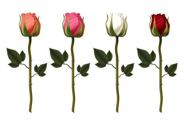 Beyaz arkaplanda izole edilmiş renkli gül seti