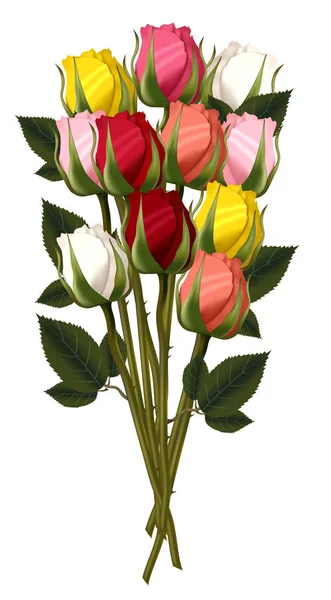 Beyaz arkaplanda izole edilmiş renkli gül seti