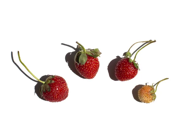 草莓在白色背景上被分离出来 新鲜水果 — 图库照片