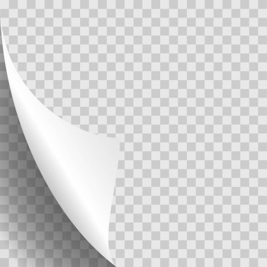 Sayfa curl şık vektör çizim eps10