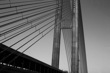 siyah-beyaz Köprüsü