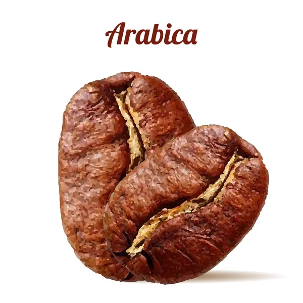 Caffè arabica realistico con ombra su sfondo bianco — Vettoriale Stock