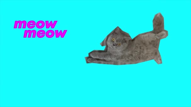 Movimiento Parada Del Gato Meow Animación Video — Vídeos de Stock