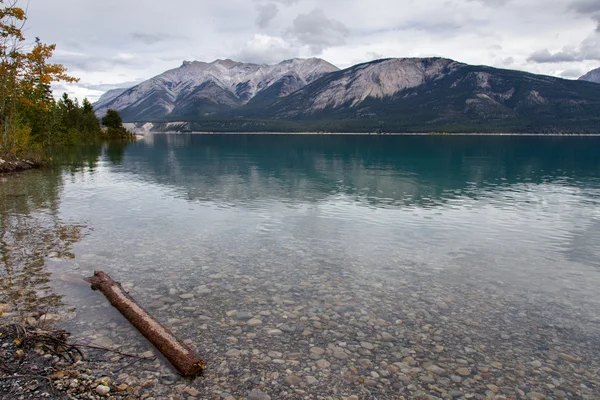 Abraham Lake Shoreline — Stock Photo, Image