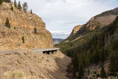 Yellowstone'da yol