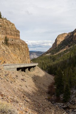 yol Yellowstone Milli Parkı'nda