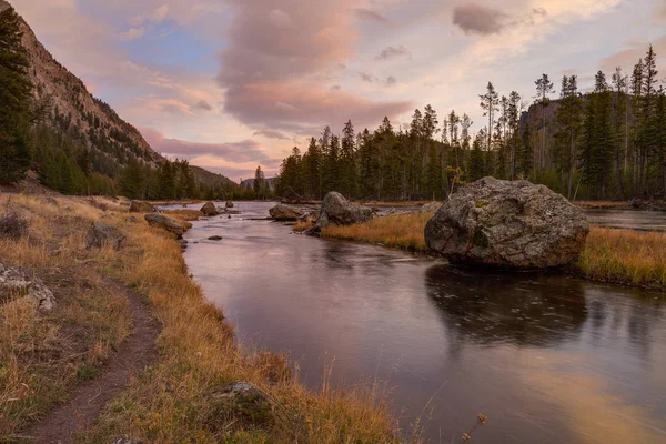 Madison River in Yellowstone Stockfoto