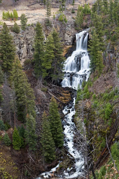 Rusalka se zamiluje do yellowstone — Stock fotografie