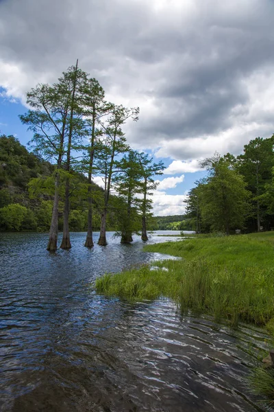 Broken Bow Lake Shoreline Stock Picture