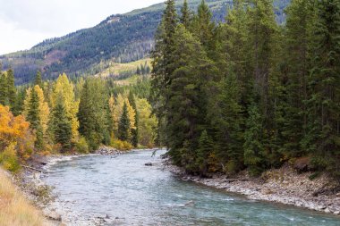 Toby Creek yakınındaki Panorama M.ö.