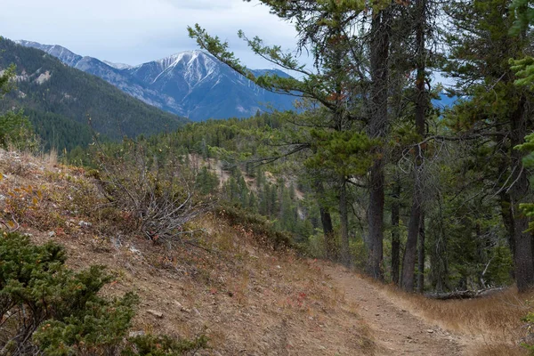 Hiking Trail on Mt. Swansea near Invermere BC. — Stock Photo, Image