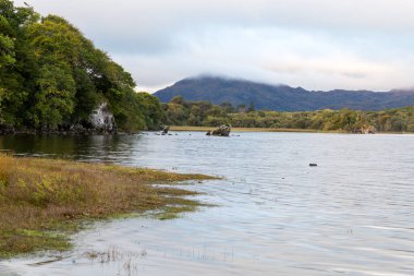 Killarney Ulusal Parkı 'ndaki Lough Leane' in kıyı şeridine bakın..