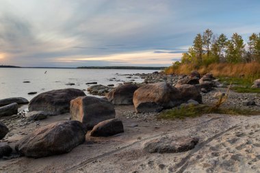 Kırsalda yeşil İrlanda çayırı
