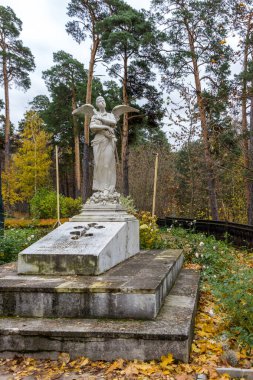 Arkhangelskoye Müzesi. Arkhangelskoye - malikanenin Rus mimarisinin eşsiz anıtı