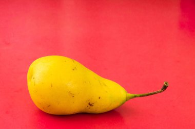 kırmızı bir tabloda sarı armut