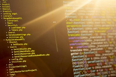 Dosya sistemi ağaç günbatımı ışınları bir kenara javascript kodu ile profesyonel metin düzenleyicisinde. Soyut bilgi dijital teknoloji modern arka plan. Web developer sıcak renkler ile ekran.