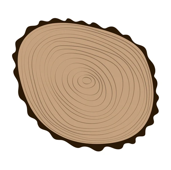 Cross section of tree stump isolated on white background, vector Eps 10 illustration. ⬇ Vector