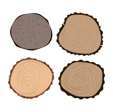 Ağaç dilimleri vektör izole
