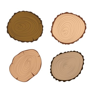 Ağaç dilimleri vektör izole