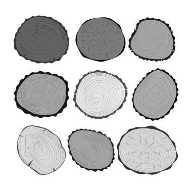Ağaç dilimleri vektör izole
