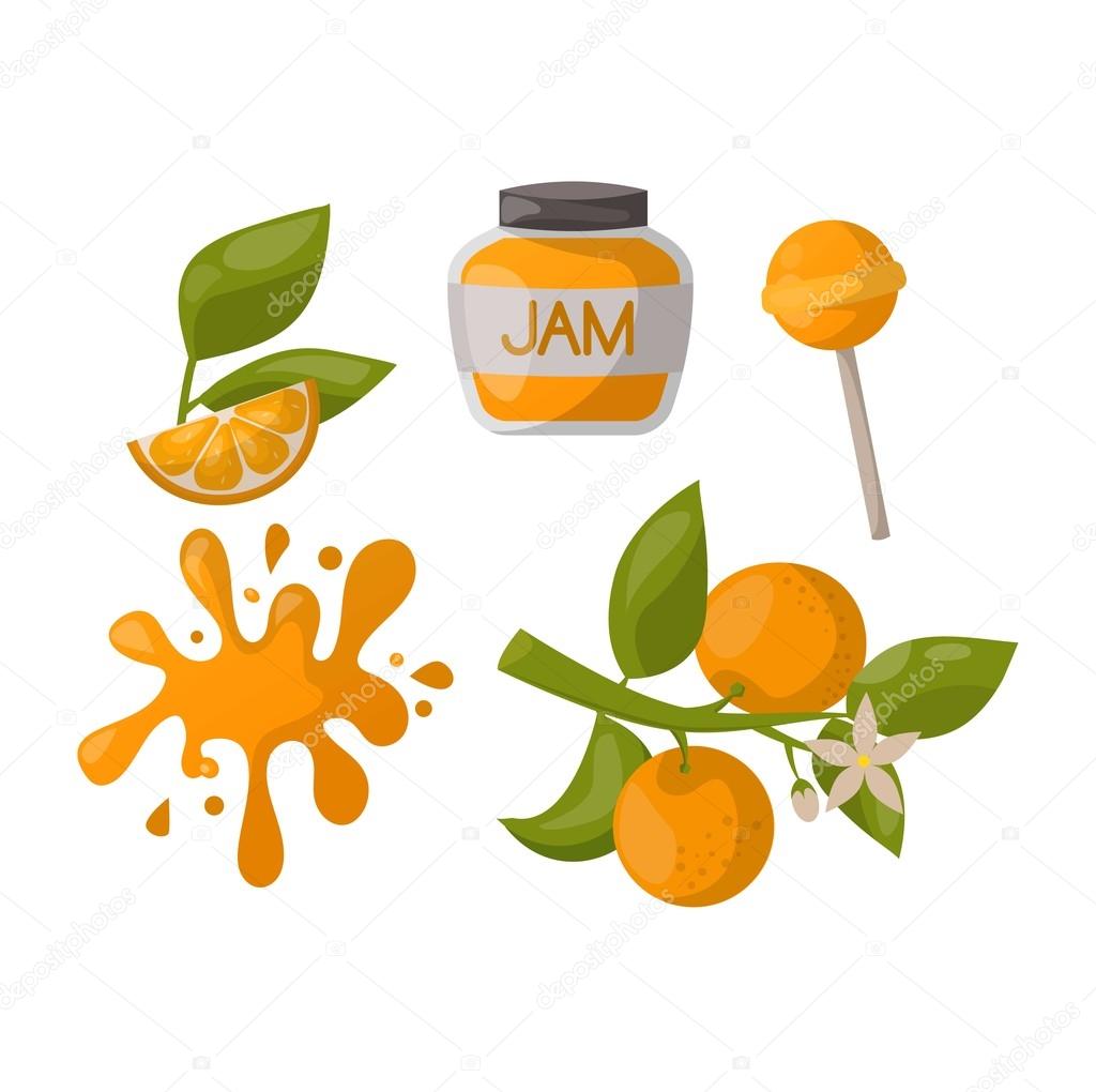 Векторная Иллюстрация Продуктов Апельсина. Векторное Изображение.