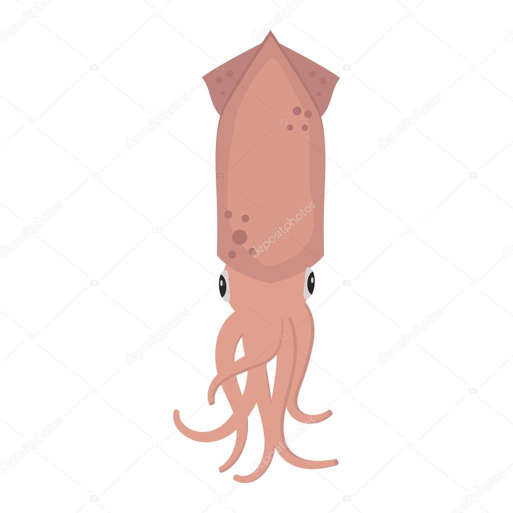 Vector squid cartoon illustration.
