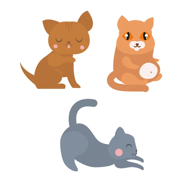 Векторные персонажи кошек — стоковый вектор
