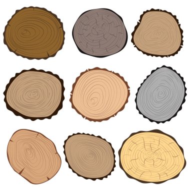 Ağaç dilimleri set vektör