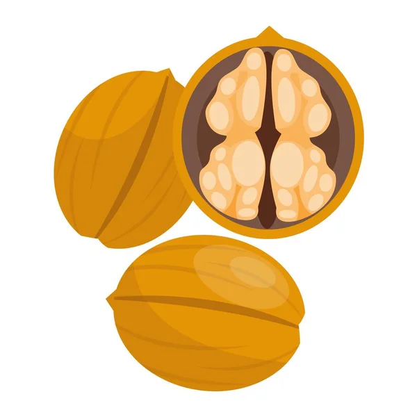 Stapel van noten vector illustratie walnoten — Stockvector