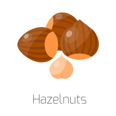 Fındık vektör çizim fındık yığını