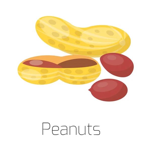 Pilha de nozes ilustração vetorial amendoins —  Vetores de Stock