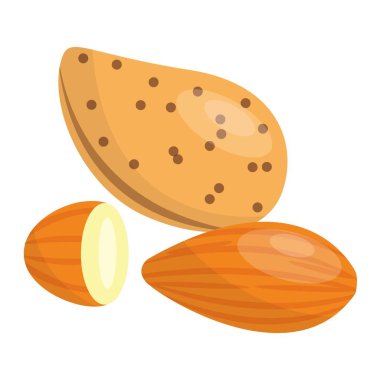 Fındık vektör çizim badem yığını