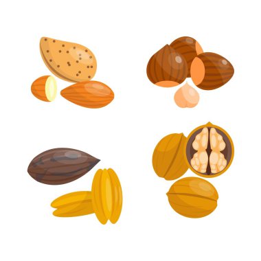 Farklı fındık set vektör.