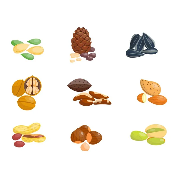 Different nuts vector set. — Stock Vector