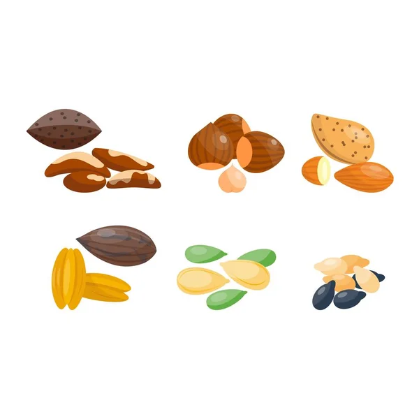 Различные векторные множества орехов . — стоковый вектор